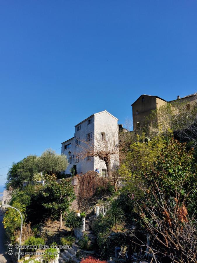 Maison Casa Nova Biguglia  Exterior foto